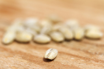 Fototapeta na wymiar Pearl barley seeds. Closeup photo for background.