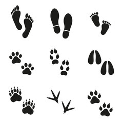 traces of man and animals on a white background