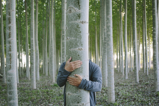 Tree hugger