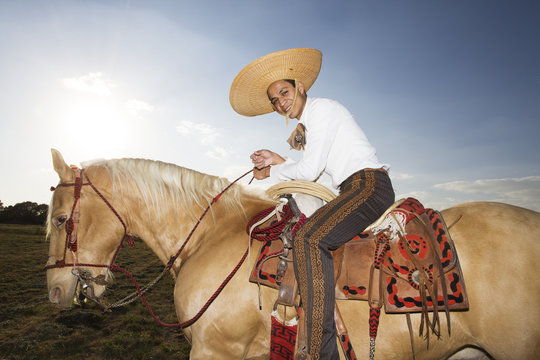 Mexican Guacho. Mexico