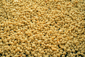 Close up of fried, peeled and salted peanuts