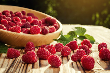 raspberries in a plate,in wooden bowl,basket/bush branch/growing raspberries,raspberries background closeup photo,high resolution product,Delicious first class organic fruit,Raspberry as background