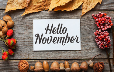 Hello november. frame of autumn decor Poster card with sunlight filter and toned grunge image 