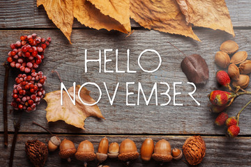 Hello november. frame of autumn decor Poster card with sunlight filter and toned grunge image  - obrazy, fototapety, plakaty
