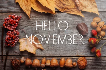 Deurstickers Hello november. frame of autumn decor Poster card with sunlight filter and toned grunge image  © RomanWhale studio