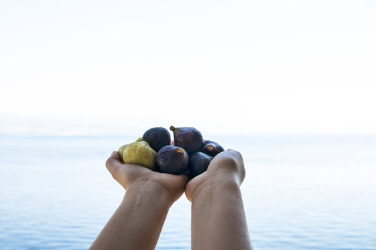 Figs View