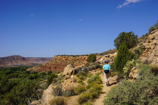 Hiker In Sage Brush And Mesquite Desert