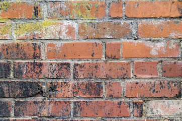 rundown brick wall detail