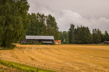 Obraz premium Autumn in Finland