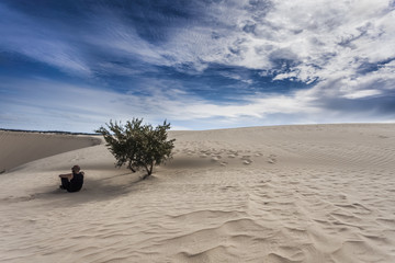 person under the shade of a tree on a sand dune