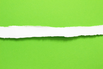 White ripped paper on green paper background. copy space