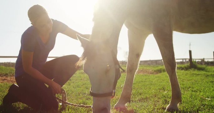 Woman stroking horse while grazing in ranch 