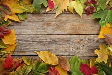 Autumn leafs on grey wooden table