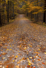 Bon Echo Ontario Landscape Fall Autumn Background Hiking