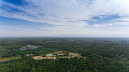 Fototapeta na wymiar Aerial mangrove forest and Shrimp Farm in Thailand