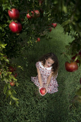 Young woman wearing floral long dress sitting on grass and holding a pomegranate fruit, photo taken from above