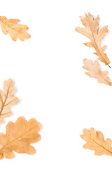 Autumn  leaves on white background. Flat lay, top view, copy space
