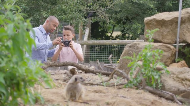  Happy father & son at the zoo, little boy taking photos of the meerkats