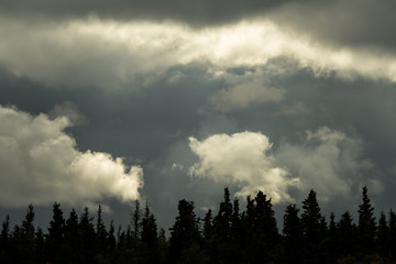 Dark stormy sky with white clouds highlighted by sun, above a silhouetted tree line

