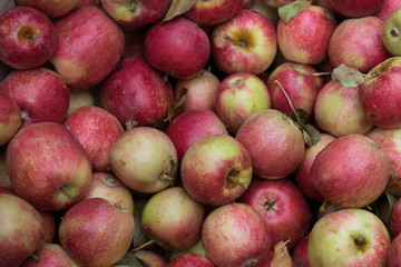 Moody Apple Pile