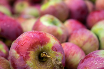 Cider Apple Gets a Closeup
