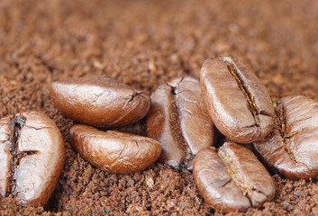 Many Coffee roasted Beans on powder