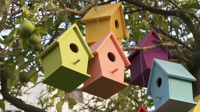 Colourful Wooden Bird Houses On the tree. Illustrate housing problem and mortgage loan