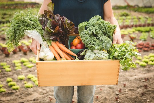 Mid section of woman holding crate full of vegetables