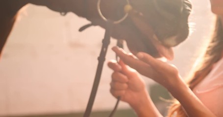 Woman stroking horse in stable  - Powered by Adobe
