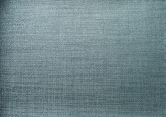 Fototapeta premium leather texture 