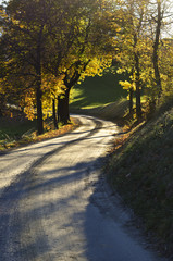 Sunny autumn road
