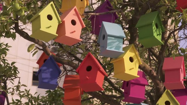 Colourful Wooden Bird Houses On the tree. Illustrate housing problem and mortgage loan