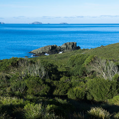 Fototapeta na wymiar View of Bruny Island beach in Tasmania, Australia in the late afternoon.