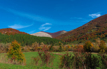 The autumn with foliage in the National Park of Abruzzo, Lazio and Molise (Italy) - An italian mountain natural reserve, with little old towns, the Barrea Lake, Camosciara, Forca d'Acero, Val Fondillo