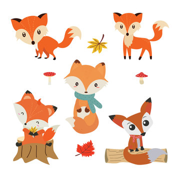 Cute fox collection. vector illustration.Autumn forest in vector set