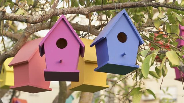 Colourful Wooden Bird Houses On the tree. Illustrate housing problem and mortgage loan