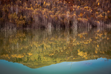colorful autumn trees reflecting in lake