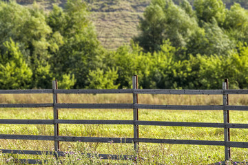 Rustic wooden fence against the background of a green field and trees.