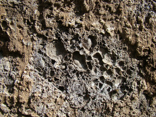 Porous brown stone texture closeup