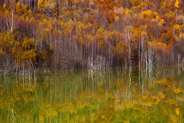 colorful autumn trees reflecting in lake