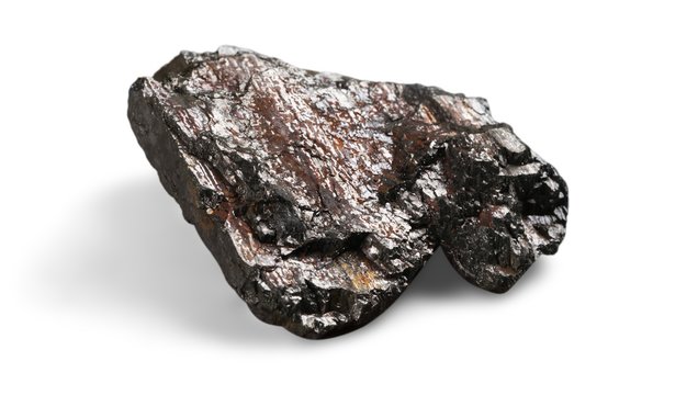 Fossil.