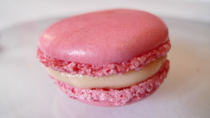 strawberry macaron