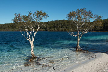 Lake Mckenzie (Boorangoora) auf Fraser Island in Australien