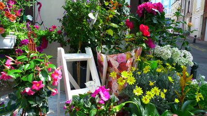 Obraz premium flower set