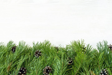 Obraz premium Сhristmas garland with undecorated pure green natural fir branches with cones isolated on white background
