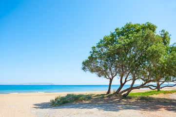 Fototapeta na wymiar Beautiful beach on Crete island, Greece