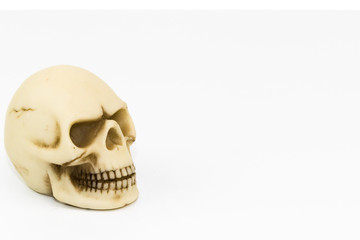 The broken skulls on white backdrop.