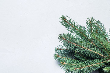 Spruce branches on white background. Christmas pattern