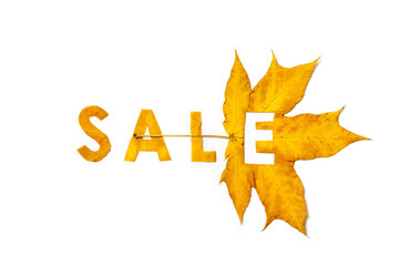 Autumn discounts. Letters carved from wedge leaves