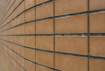 Backdrop wall from the new smooth brick